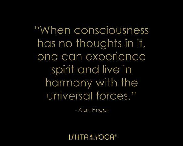 2013 Ishta yoga quotes by Alan Finger 12